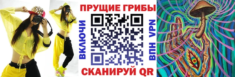 Галлюциногенные грибы прущие грибы  Орехово-Зуево 